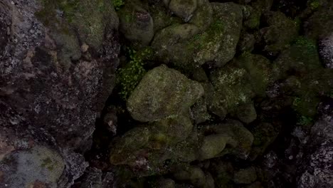 rocas cubiertas de musgo en vista aérea ascendente hacia abajo en el paisaje de islandia