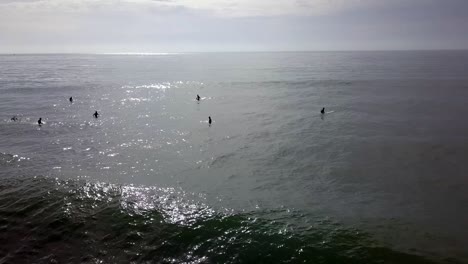 silhouettes of surfers on boards, sun glistens in the sea