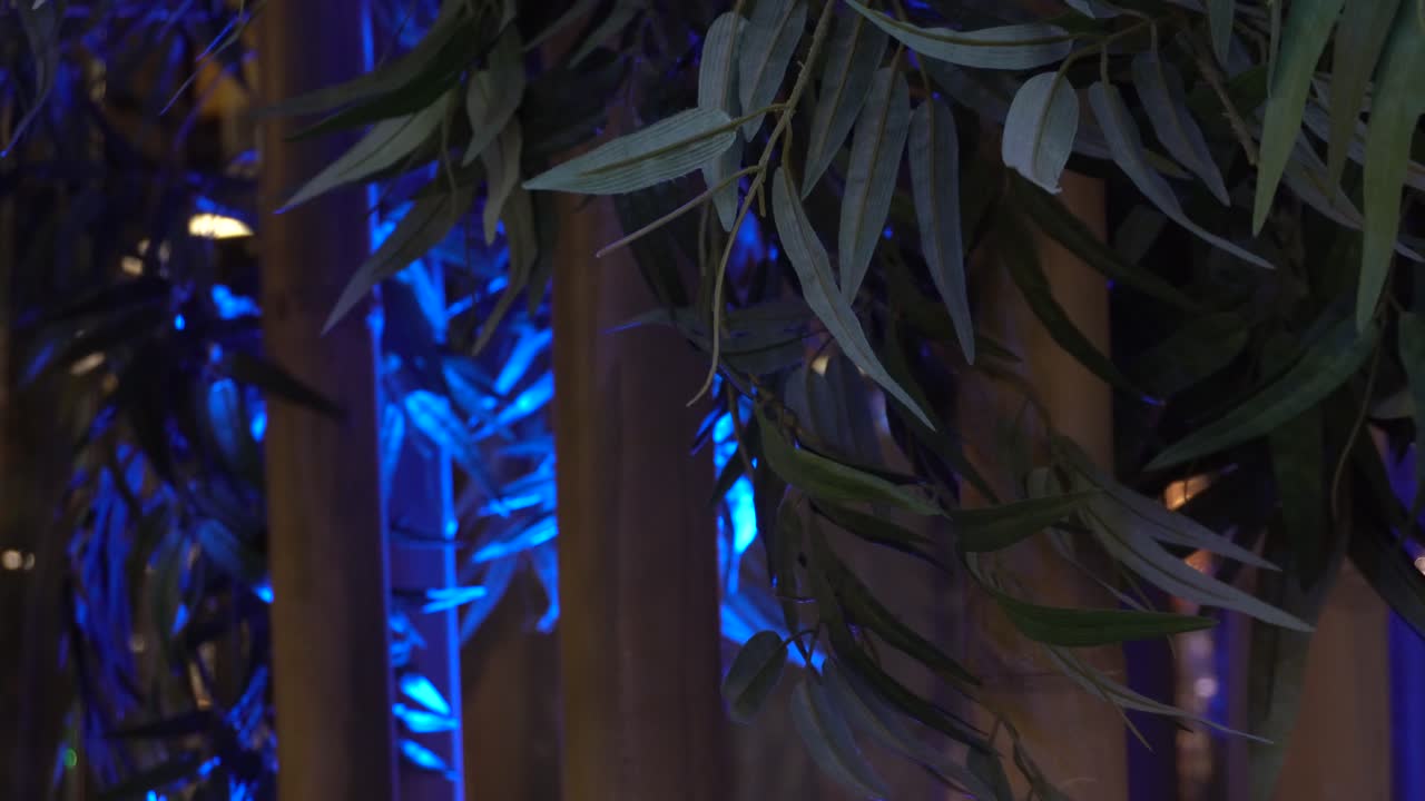 el reflejo de la luz en los árboles falsos crea un patrón hermoso