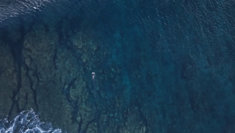 surfer in the ocean