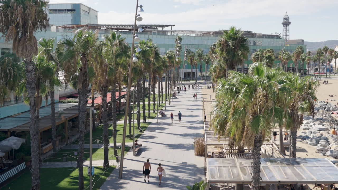 Persone passeggiano lungo una soleggiata passerella fiancheggiata da palme vicino alla spiaggia di Barcellona, con edifici moderni sullo sfondo.