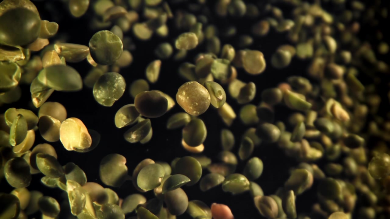 Green Split Peas Falling in Super Slow Motion