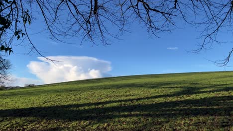 Mushroom-shaped-cloud-on-sunny-green-hill-field,-pan-towards-tree-shadow-branch
