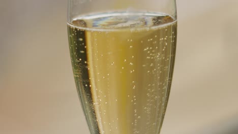 close-up of a glass of sparkling champagne