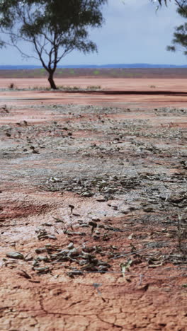 paisaje seco en el interior de australia