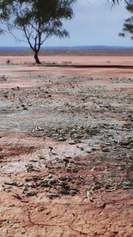 dry landscape in the australian outback