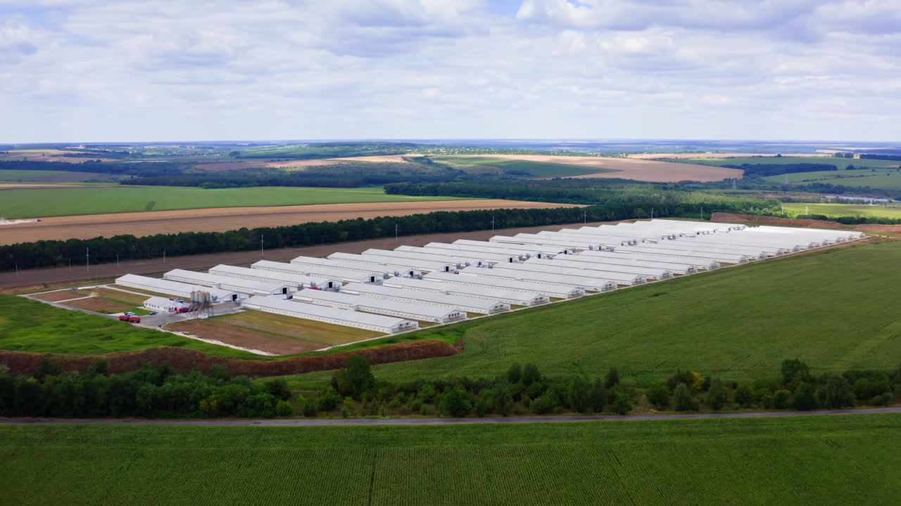 New farm on fields background. Modern agricultural buildings surrounded by green nature in summer. Aerial view.