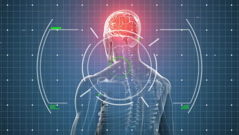 animation of scope scanning over digital human model on blue background