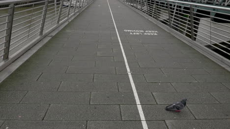 slow reveal shot of an empty golden jubilee bridge and warning markings, keep left, keep moving, london