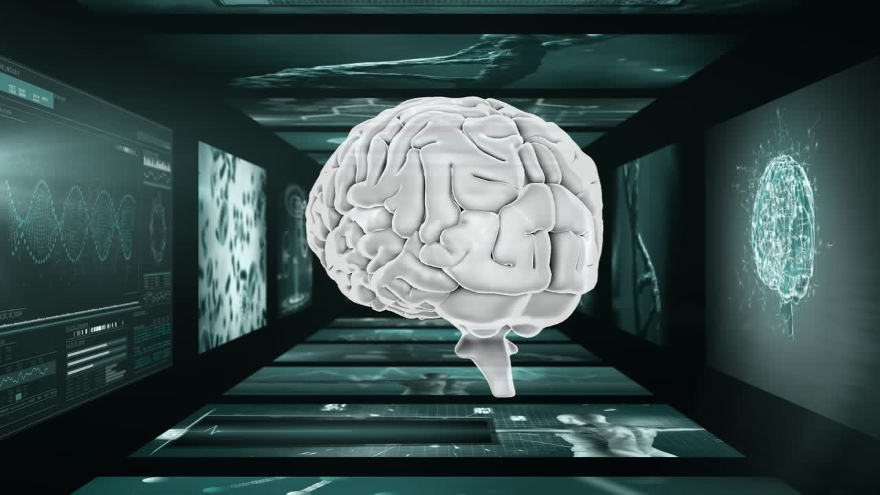 animación de cerebro 3d girando en un pasillo de pantallas científicas
