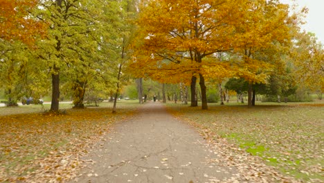 Mujer-Caminando-En-El-Parque-Bajo-Coloridos-árboles-De-Otoño-Y-Hojas-Cayendo