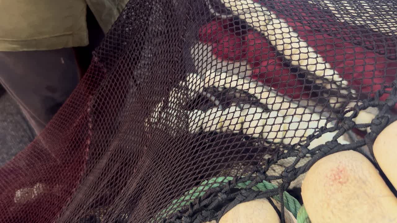People are slicing through a fishing net, meticulously separating its strands with a knife, encapsulating the spirit of a fishing village nestled in a small town