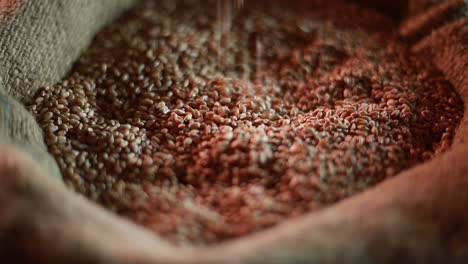 wheat grains in a sack