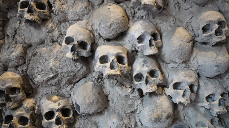 Teschi incastonati in un muro di pietra, Liguria, Italia, che mostrano la storia