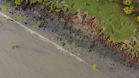 Drohnenaufnahme-Von-Meereswellen,-Die-An-Einem-Schönen-Nachmittag-Am-Grünen-Sandstrand-Krachen