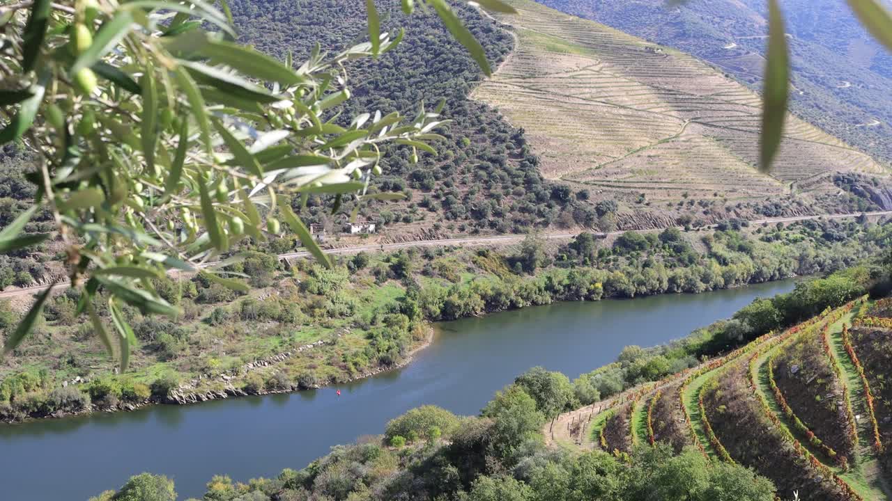 Immergiti nella mozzafiato Valle del fiume Douro, Portogallo. Il maestoso fiume si snoda attraverso verdi colline terrazzate, mettendo in mostra i paesaggi iconici di questa rinomata regione vinicola