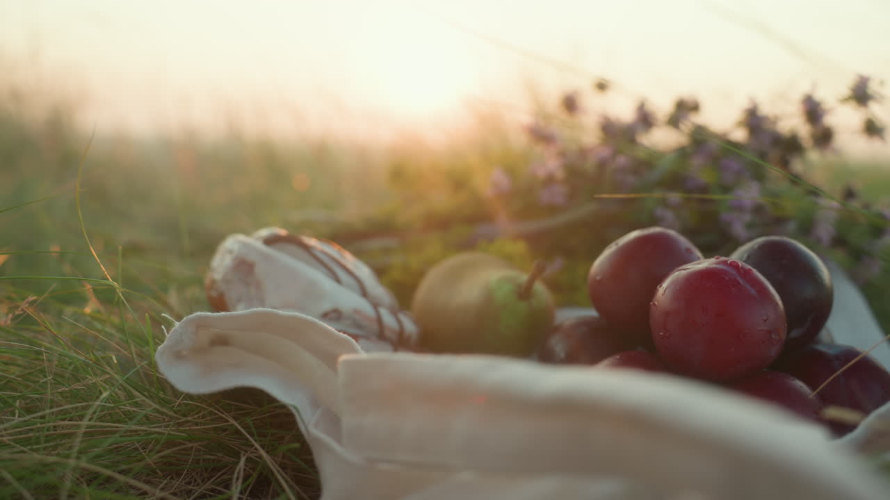 Side view of woman arranging ripe plums and pear beside melting chocolate ice cream on picnic cloth in grassy field under warm sunset glow with wildflowers softly lit in background