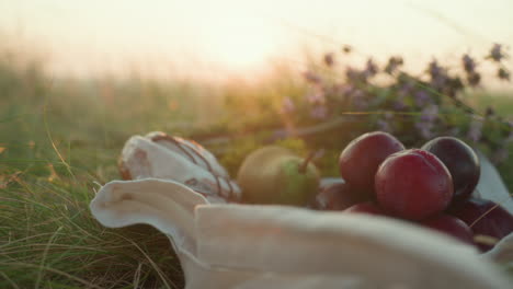 side view of woman arranging ripe plums and pear beside melting chocolate ice cream on picnic cloth in grassy field under warm sunset glow with wildflowers softly lit in background