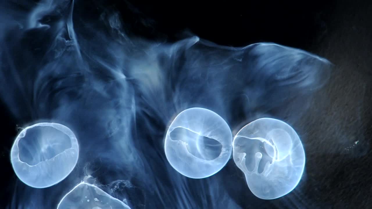 추상, 에너지, 활공, 혈장, 모핑, 작게 묶은, 미묘한, 우아한, 무늬, 디자인, 깨지기 쉬운, 꿈 같은, 스트리밍, 마법, 자연스러운, 푸른, 복잡한, 아름다운, 섬세한, 버블 링, 검은 배경