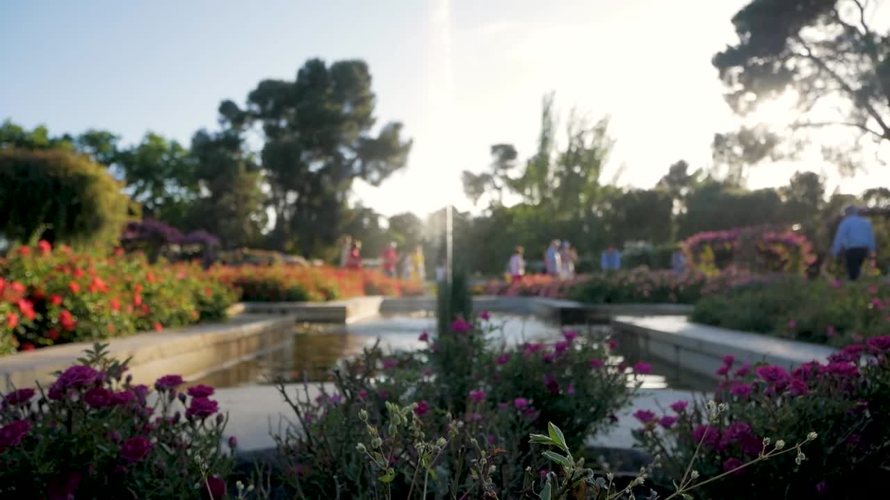 Beautiful Garden with Fountain and Flowers