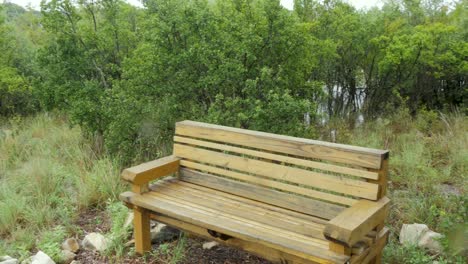 flooded park after heavy rain