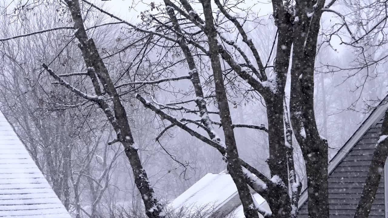 Slow motion snowfall on trees and the nieghborhood around, houses in a suburban area, winter day, static shot, copy space