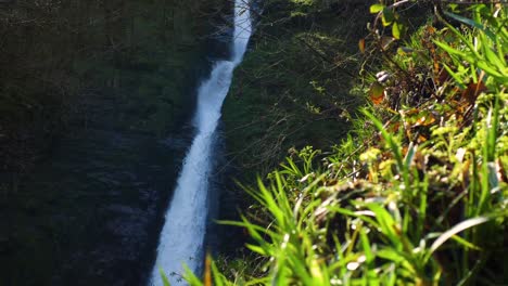 Joven-Corriendo-Más-Allá-De-Una-Cascada-Del-Bosque