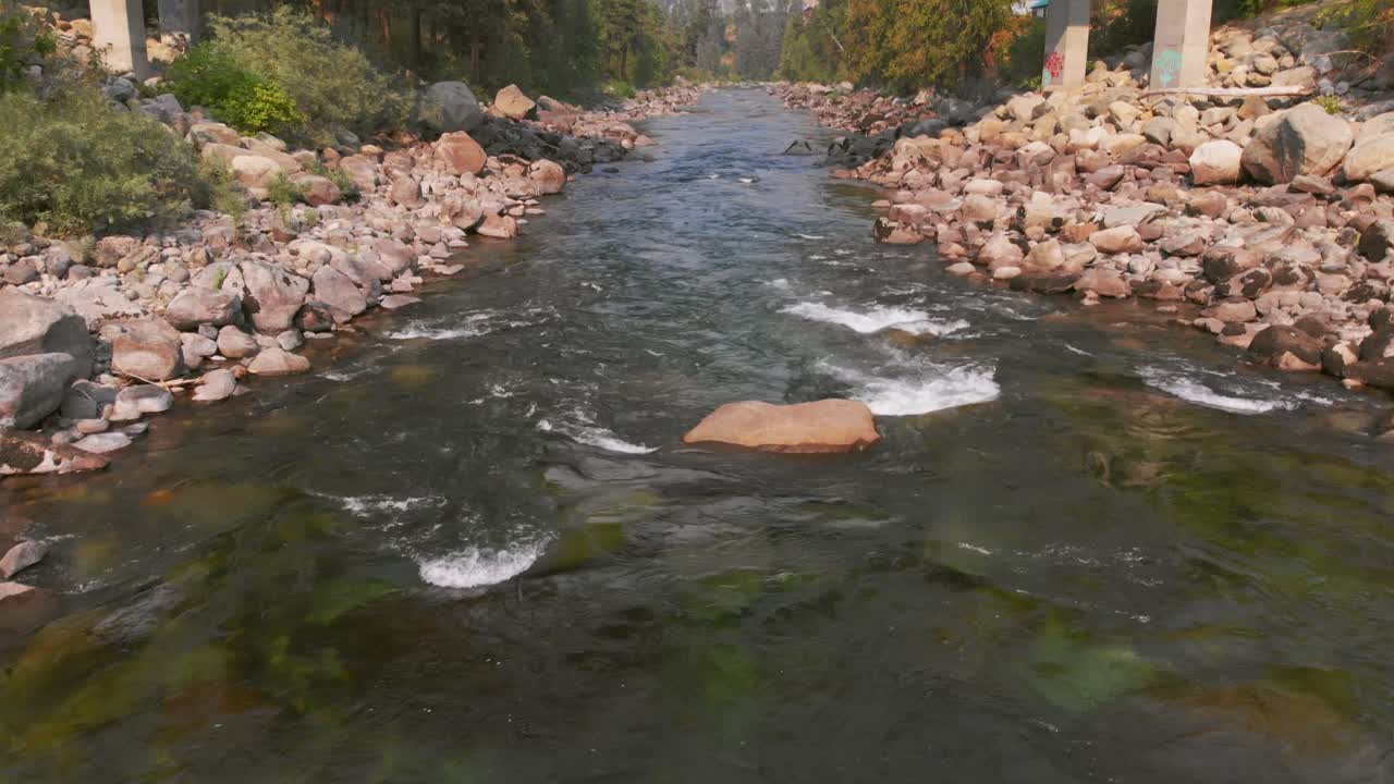 Fiume limpido che scorre tra rive rocciose sotto un ponte di cemento, circondato da una foresta sempreverde nello stato di Washington