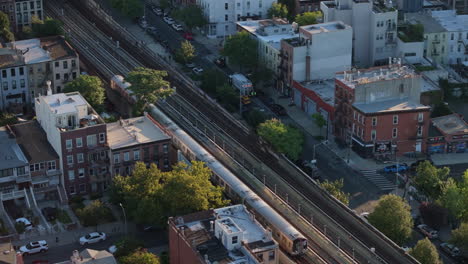 shot on a summer morning in brooklyn