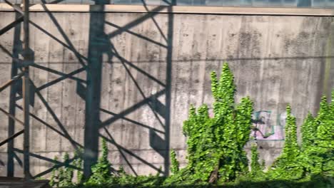 graffiti-covered walls seen from a moving train