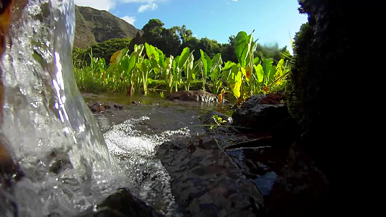 el agua pura, fresca y limpia se vierte por un arroyo y en los campos