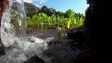 el agua pura, fresca y limpia se vierte por un arroyo y en los campos