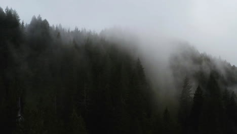 Dark-grey-forest-in-moody-fog-covering-the-mountain-and-hills-dripping-into-valley,-PNW