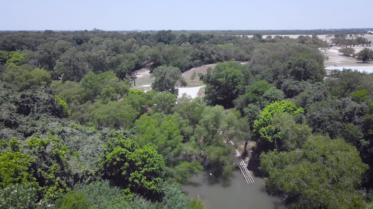 las golondrinas vuelan alrededor de la cámara mientras el dron vuela hacia un parque cerca del río san antonio en el pequeño pueblo de elmendorf