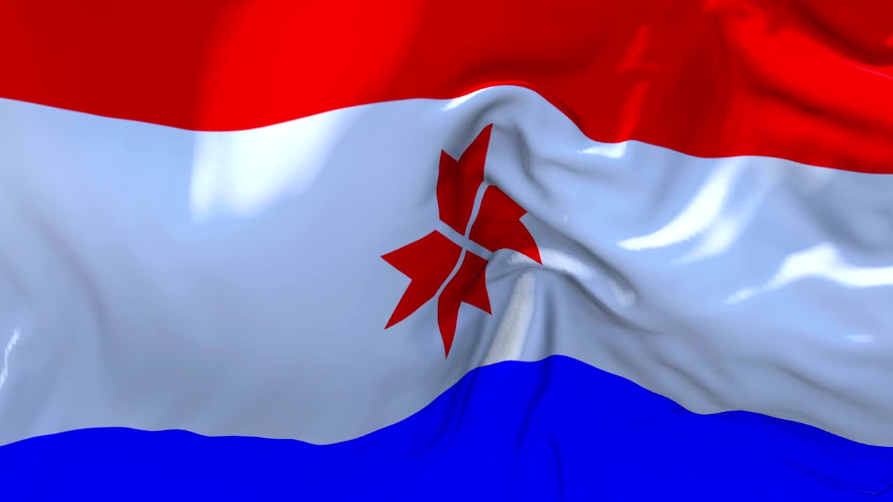 모르도비아 발은 바람 속도 느린 동작 애니메이션에서 4k 현실적인 직물 질감 발을 부드럽게 불어 바람이 많은 날 연속적인 원활한 루프 배경.