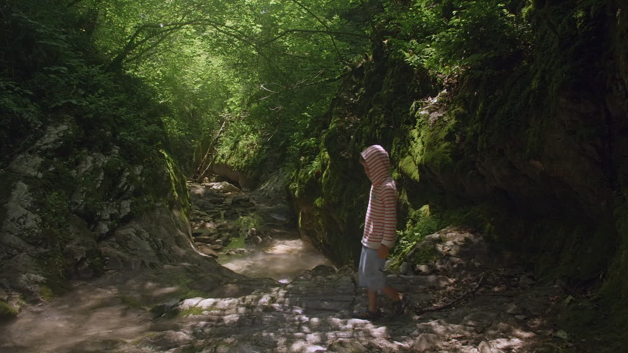 A child hiking in a mossy forest canyon with a small stream