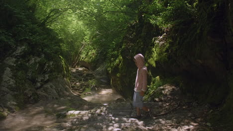 a child hiking in a mossy forest canyon with a small stream