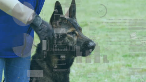 animación de procesamiento de datos financieros sobre hombre caucásico con perro en la hierba
