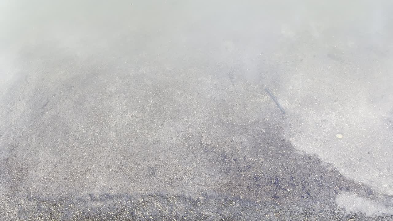Kleine vissen zwemmen in ondiep water met rimpelingen