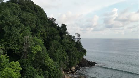 flying next to costa rica shore alongside a green leafy cliff