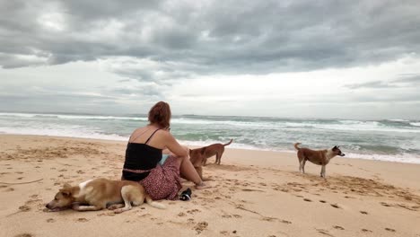 relaxing on tropical beach with stray dogs sri lanka sandy shore nature