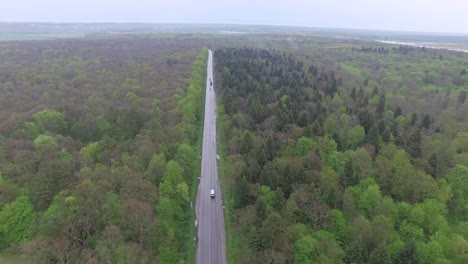 vista aérea de la carretera forestal