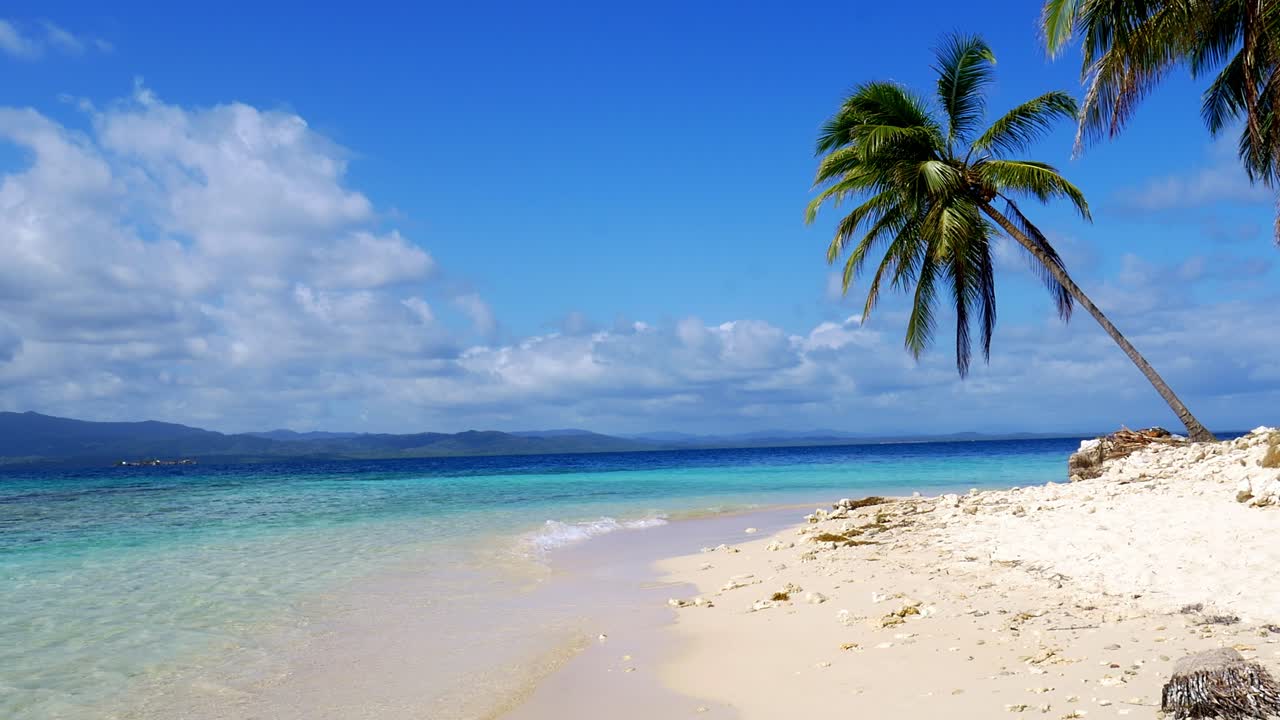vento soprando através de folhas de palmeira sobre praia tropical em san blas, panamá