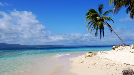 Viento-Que-Sopla-A-Través-De-Hojas-De-Palmera-Sobre-Playa-Tropical-En-San-Blas,-Panamá