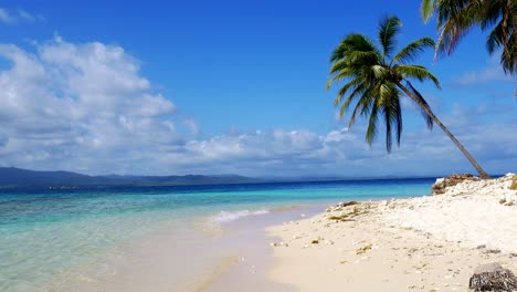 vent soufflant à travers les feuilles de palmier sur la plage tropicale de san blas, panama