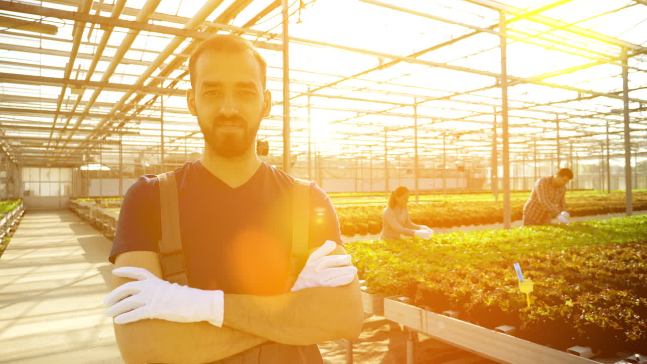 Hydroponic Greenhouse Farming