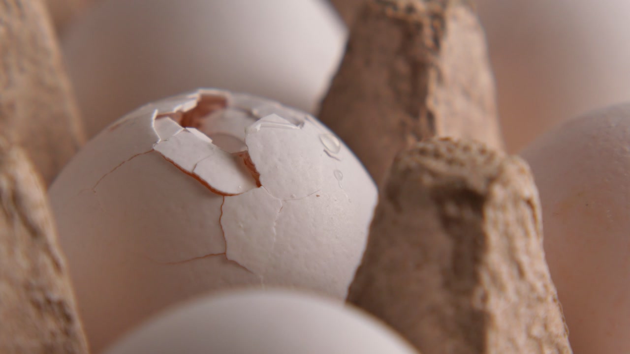 Close-up of a cracked white egg in a carton