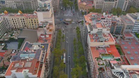 barcelona streets flanked by buildings, with lush trees, early evening light, aerial view