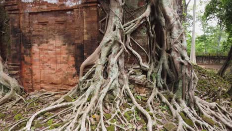 ancient brick tower at koh ker temple, cambodia overgrown by jungle