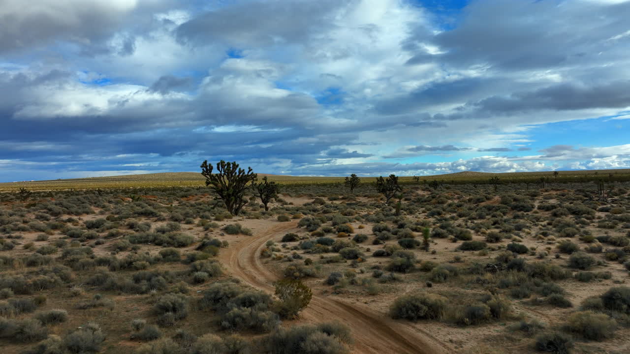 camino de tierra sinuoso a través del desierto de mojave bajo cielos nublados, árboles de joshua salpicando el paisaje, vista aérea